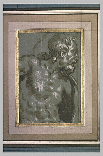 Demi-figure d'homme nu, vu de profil, vers la droite_0