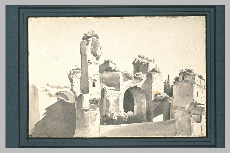 Ruines gagnées par le végétation_0