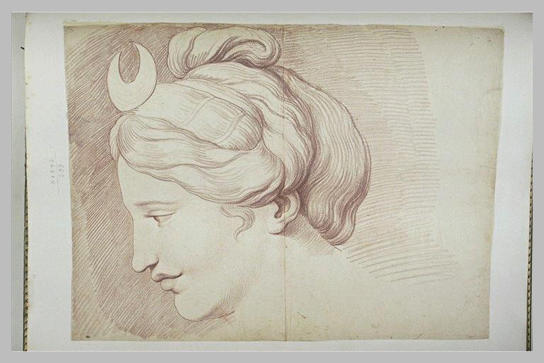 Tête de jeune femme : Diane_0