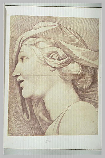 Tête de femme, vue de profil, tournée à gauche_0