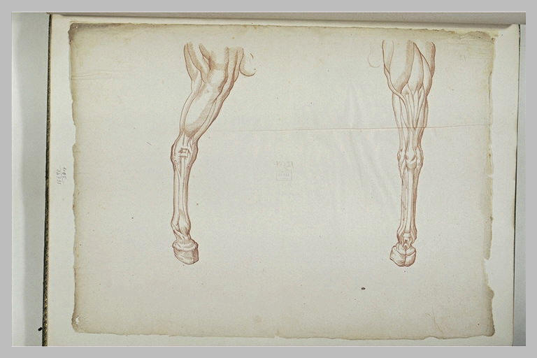 Deux jambes de cheval_0