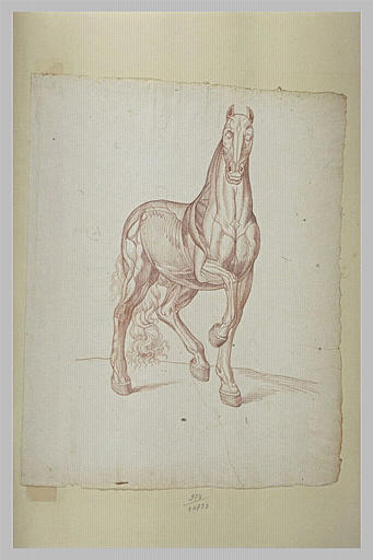 Cheval debout, tourné vers la droite_0