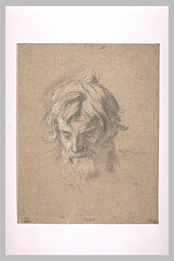 Tête de vieil homme, vue de face_0