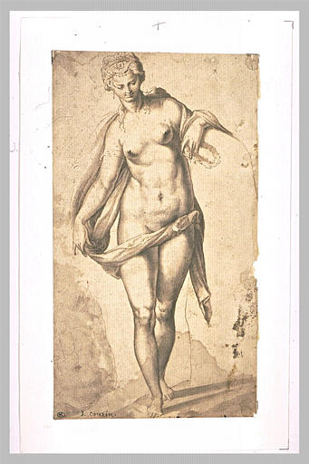 Femme nue, debout, de face_0