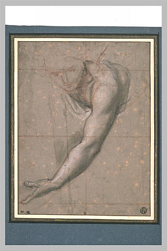 Etude d'un buste de jeune femme drapée penchée en avant : Iris_0
