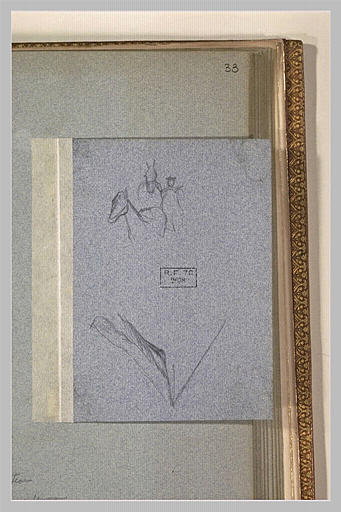 Croquis de cavalier_0