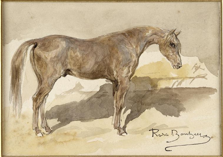 Etude de cheval alezan_0