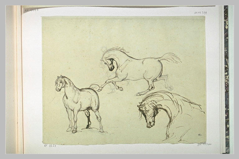 Études de chevaux_0
