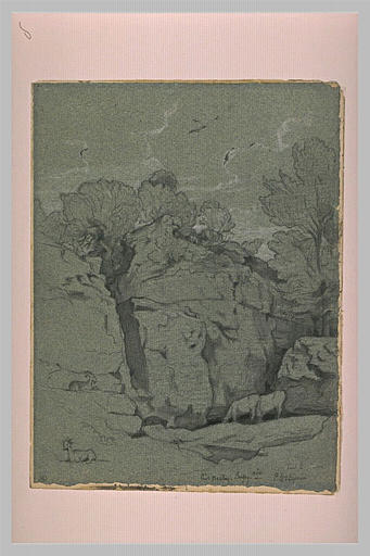 Vaches et chèvres près de falaises_0