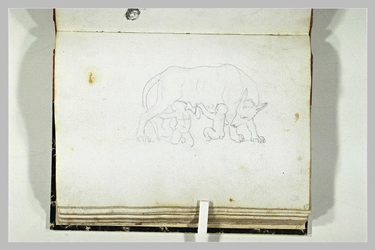 La louve allaitant Romulus et Remus_0