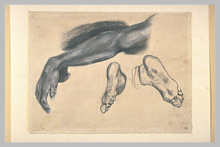 Etude d'un bras droit et de deux pieds_0