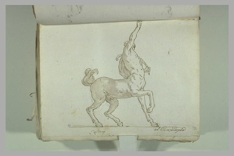 Centaure vu de profil, tourné vers la droite_0