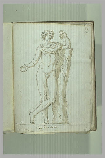 Bacchus vu de face_0