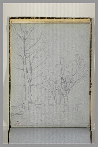 Enclos avec des arbres_0