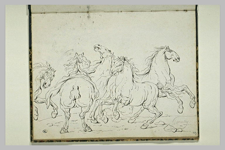 Etude de cinq chevaux_0