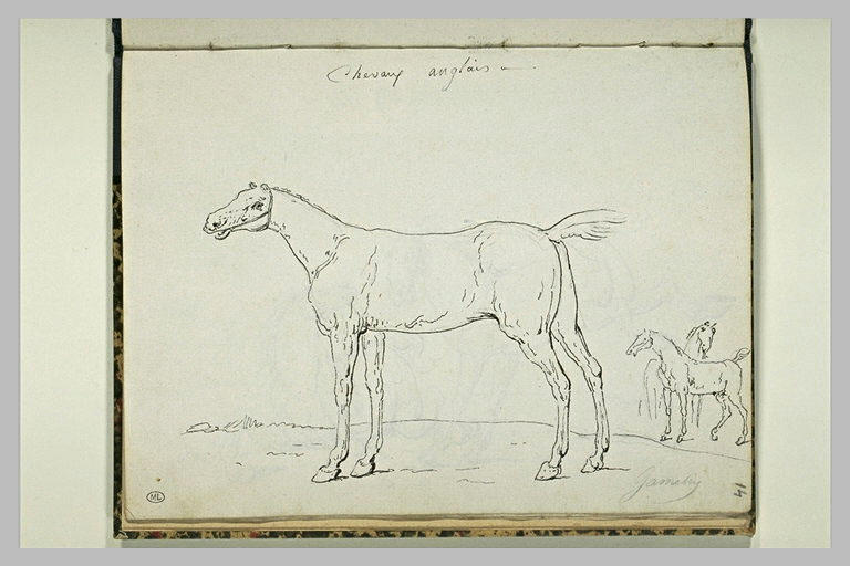 Etudes de trois chevaux_0