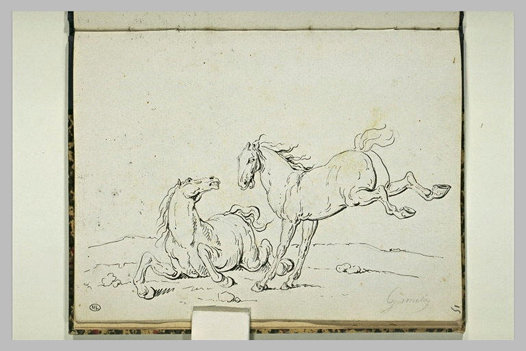 Cheval à terre et cheval ruant_0