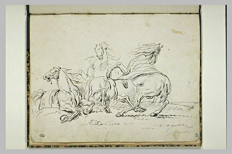 Etude de chevaux_0