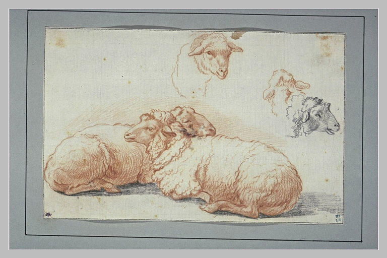 Deux moutons couchés, et trois études de têtes de moutons_0