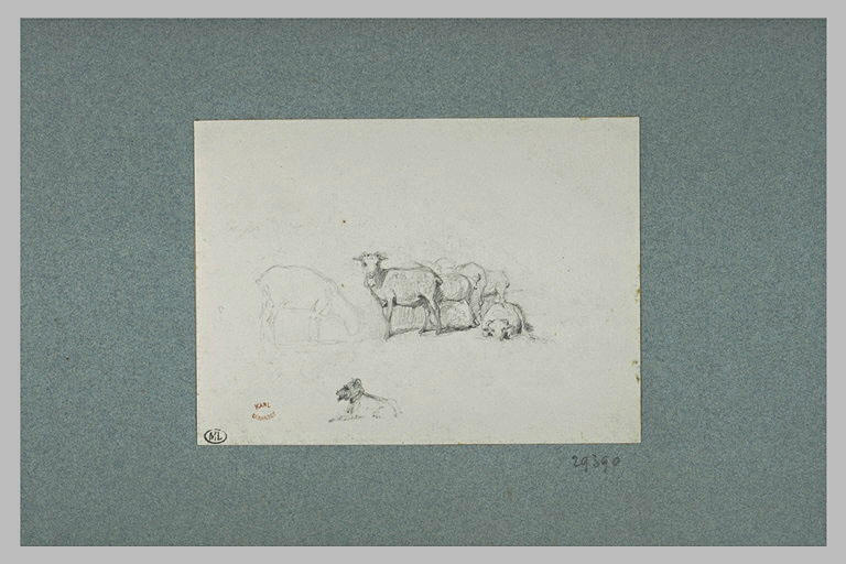 Moutons et un chien couché_0