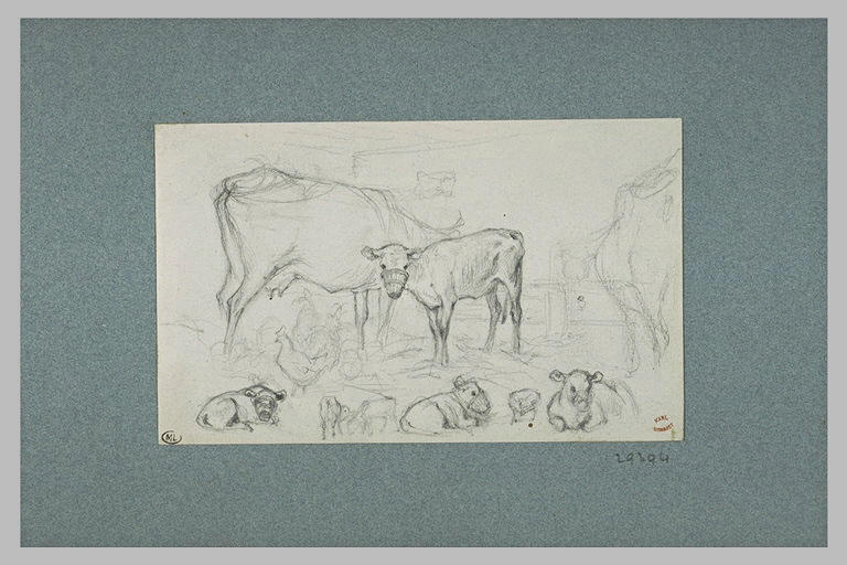 Vache avec son veau muselé ; études de veaux muselés_0
