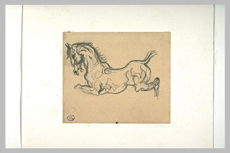 Croquis de cheval ruant_0