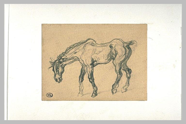 Croquis d'un vieux cheval, la tête basse_0