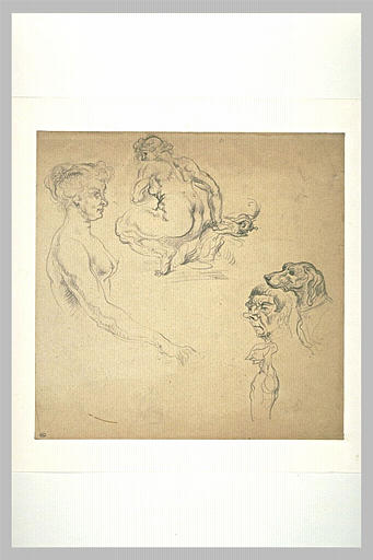 Buste de femme nue, femme nue accroupie, tête de chien, et profils_0