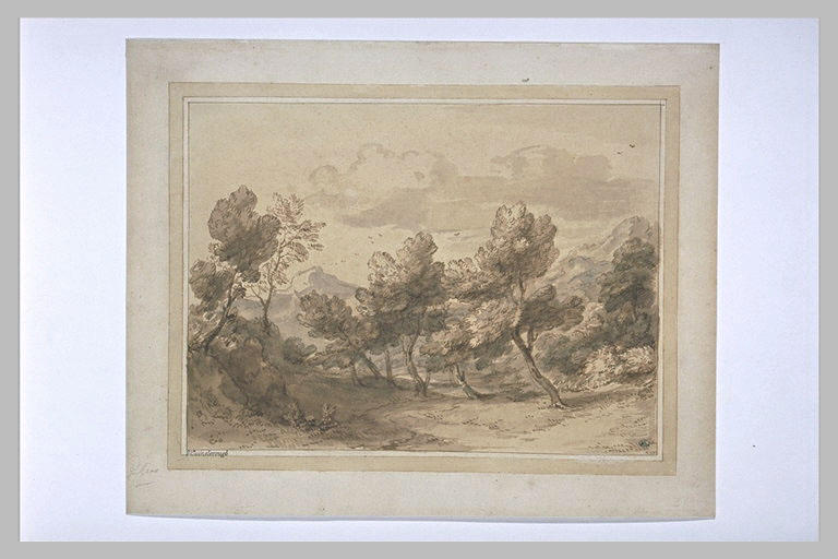 Paysage aux arbres tourmentés par le vent_0