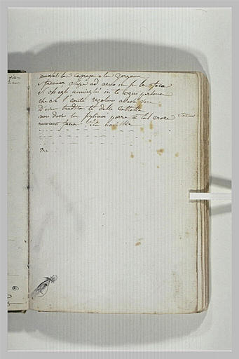 Notes manuscrites_0