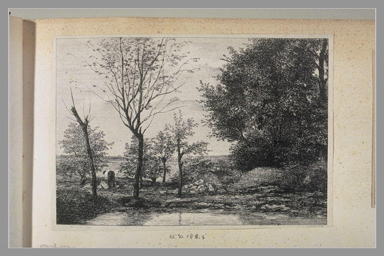 Paysage_0