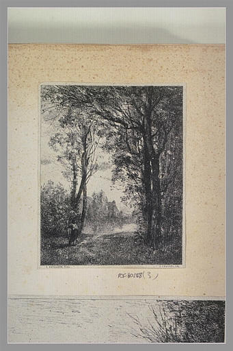 Paysage_0