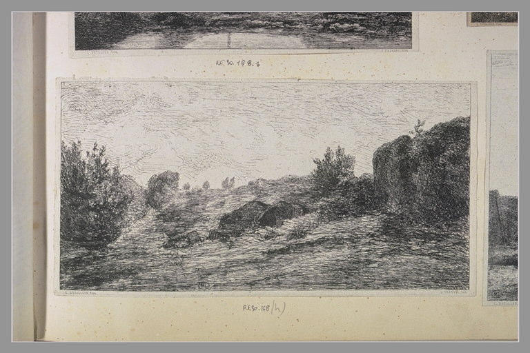Paysage_0