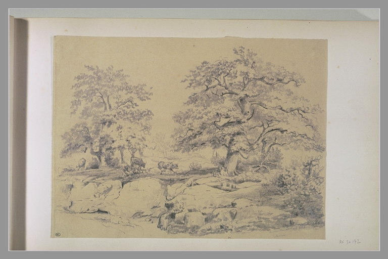 Paysage avec des vaches auprès d'arbres et de rochers_0