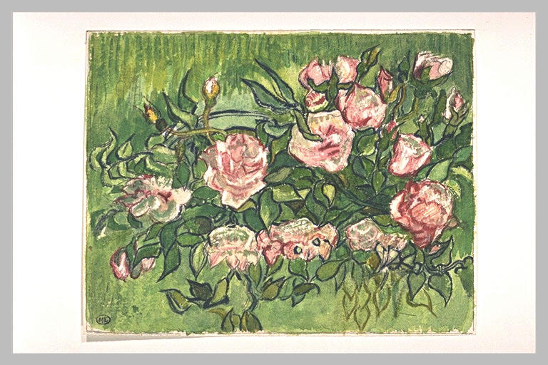 Massif de roses sur fond de verdure_0
