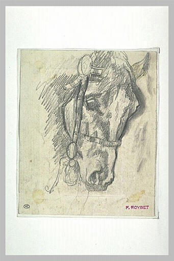Tête de cheval avec mors, de trois quarts vers la droite_0