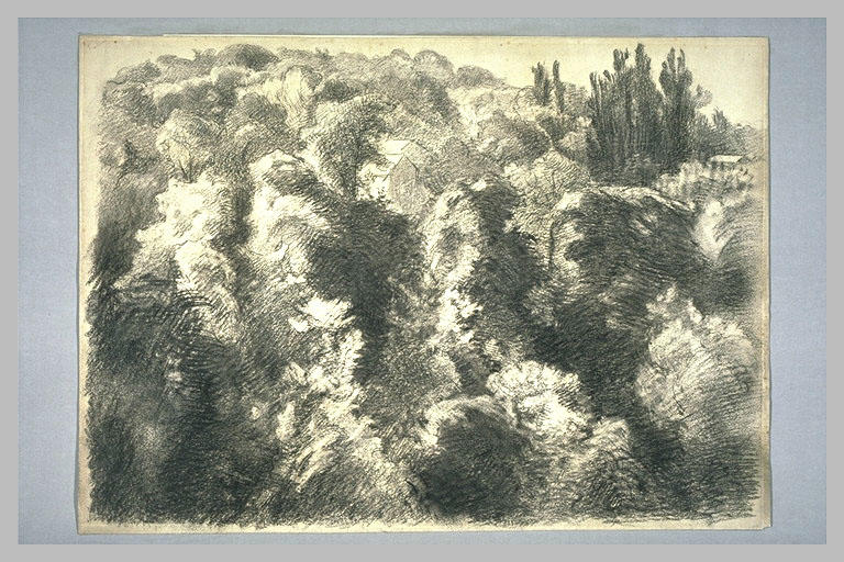 Paysage : Les Bois de Sèvres_0