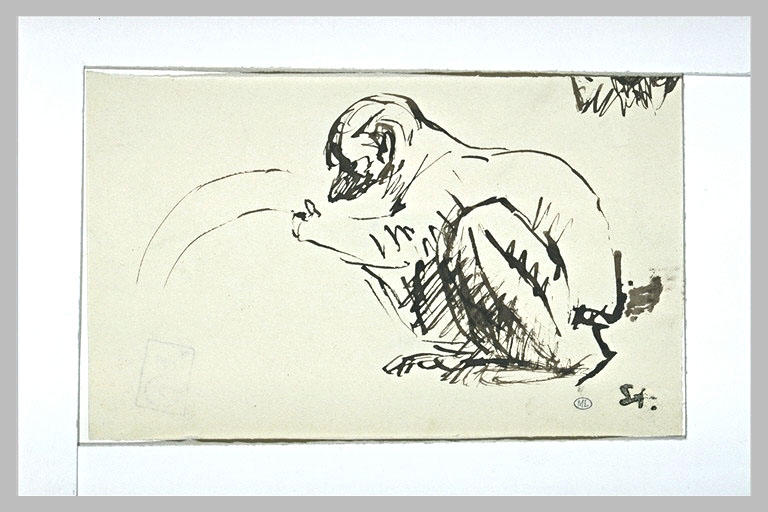 Singe accroupi, tourné vers la gauche_0