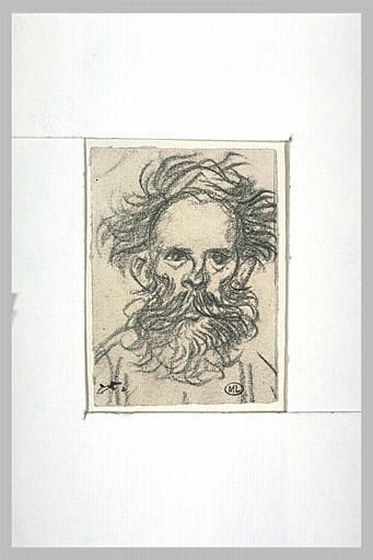 Tête d'homme hirsute, barbu_0