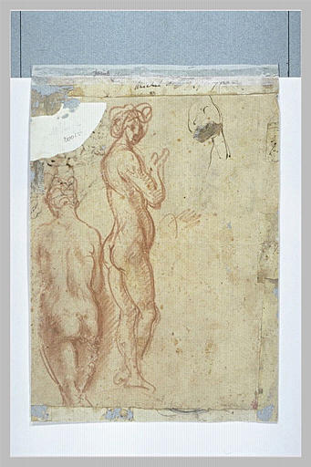 Deux études de femmes nues_0