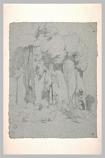 Etude de rochers avec des buissons_0
