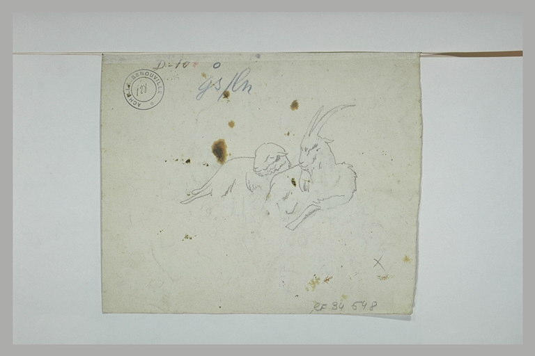 Une chèvre et un mouton_0