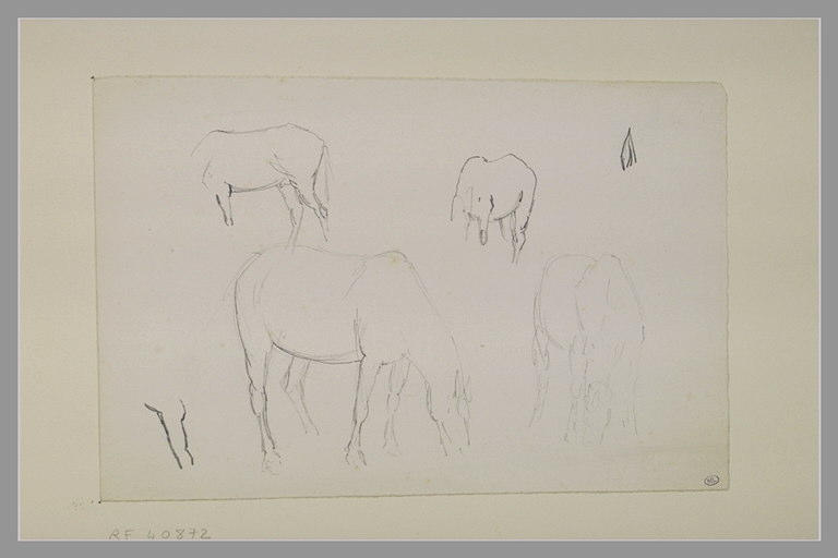 Quatre études de chevaux au pâturage_0