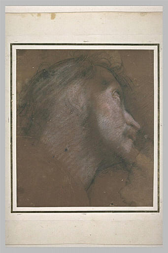 Tête d'homme, de profil, vers la droite, regardant vers le haut_0