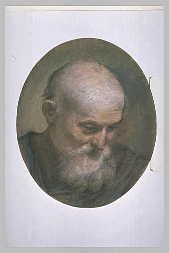 Tête de vieillard chauve, barbu, tournée vers la droite, regardant en bas_0