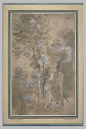 Etude de trois arbres couverts de leurs feuilles_0