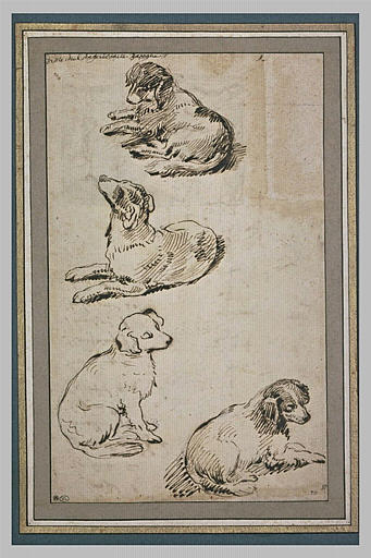 Etude de quatre chiens, trois sont couchés, un est assis_0