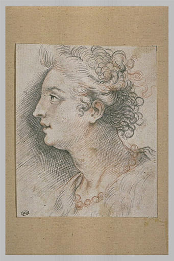Tête de femme, vue de profil, les cheveux relevés_0
