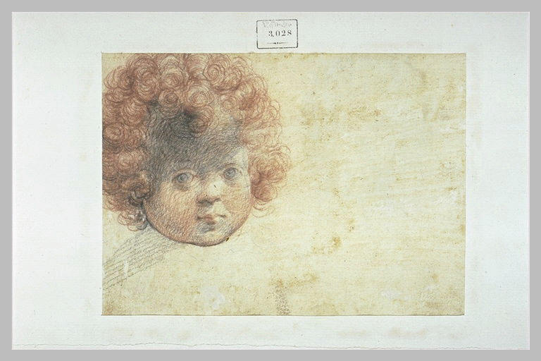 Visage d'enfant aux cheveux bouclés_0