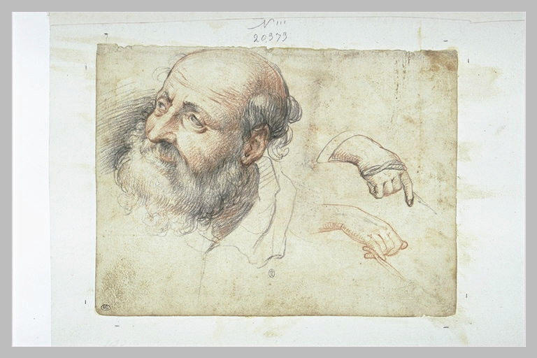 Tête d'homme barbu, de trois quarts et deux études de mains tenant une corde_0